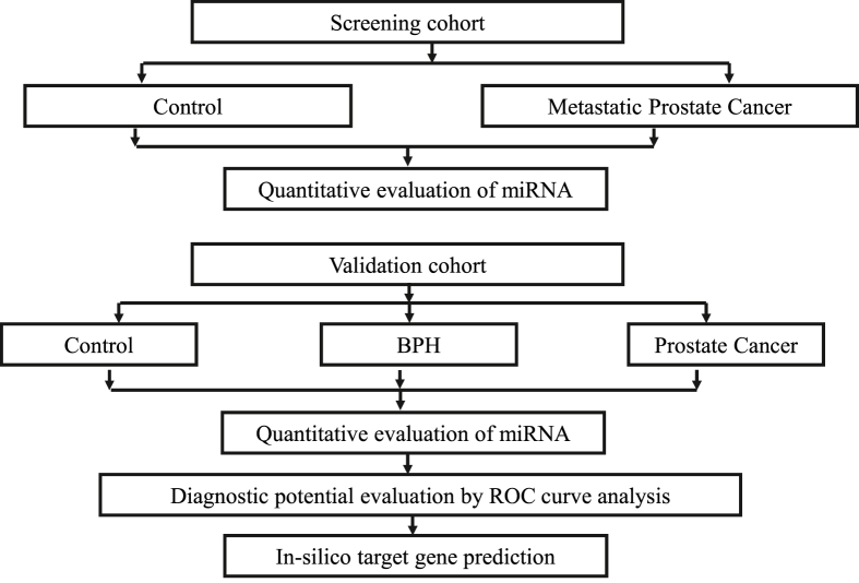 Screening and validation of novel serum panel of microRNA in stratification of prostate cancer