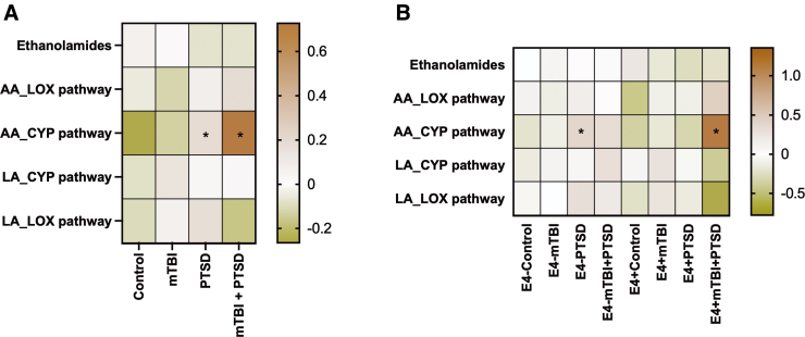 Levels of Arachidonic Acid-Derived Oxylipins and Anandamide Are Elevated Among Military <i>APOE</i> ɛ4 Carriers With a History of Mild Traumatic Brain Injury and Post-Traumatic Stress Disorder Symptoms.