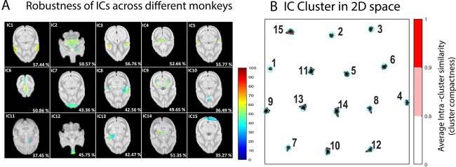 Detection and characterization of resting state functional networks in squirrel monkey brain.