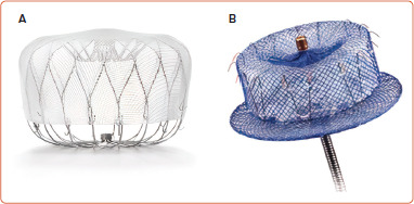 Percutaneous Left Atrial Appendage Occlusion: What the Practising Physician Should Know.