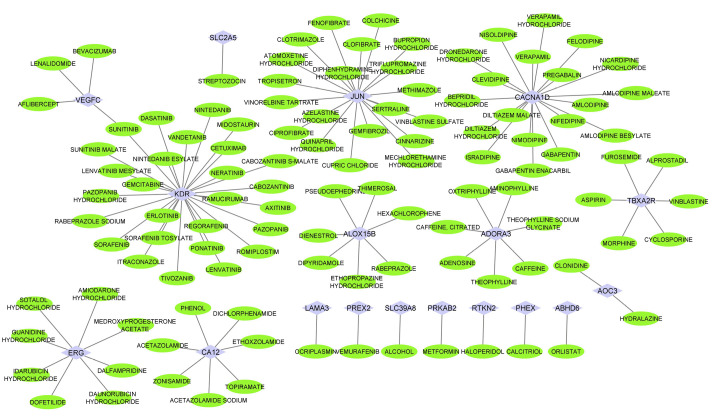 Identification of novel potential drugs and miRNAs biomarkers in lung cancer based on gene co-expression network analysis.