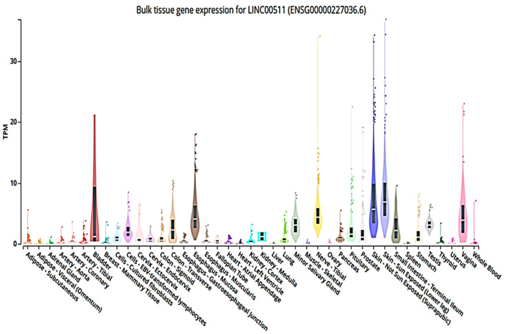 The Intergenic Type LncRNA (LINC RNA) Faces in Cancer with In Silico Scope and a Directed Lens to LINC00511: A Step toward ncRNA Precision.