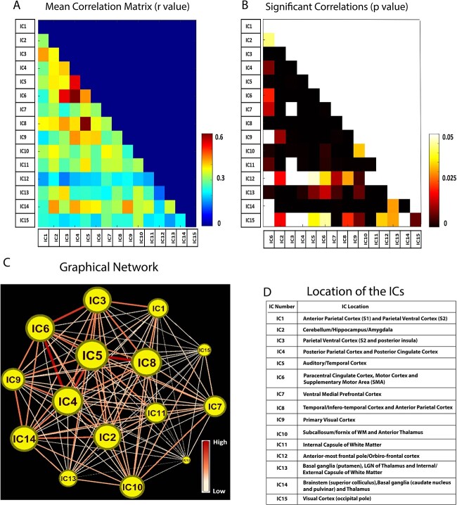 Detection and characterization of resting state functional networks in squirrel monkey brain.