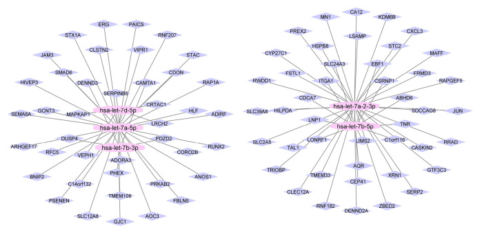 Identification of novel potential drugs and miRNAs biomarkers in lung cancer based on gene co-expression network analysis.