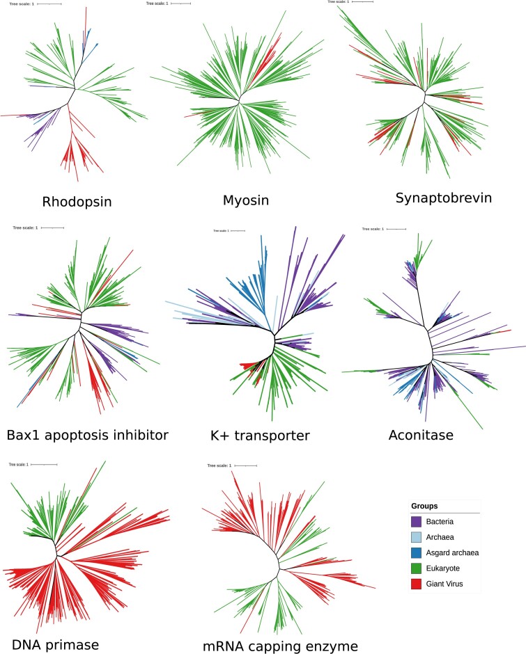 Virologs, viral mimicry, and virocell metabolism: the expanding scale of cellular functions encoded in the complex genomes of giant viruses.