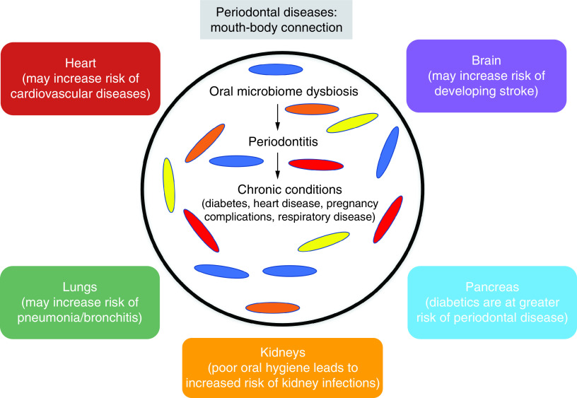 The increasing importance of the oral microbiome in periodontal health and disease.