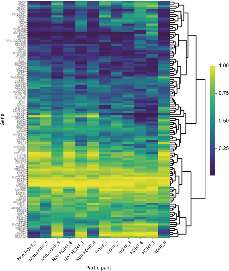 Differences in Leukocyte Transcriptomes of Morbidly Obese Patients With High Output Heart Failure: A Pilot Study.