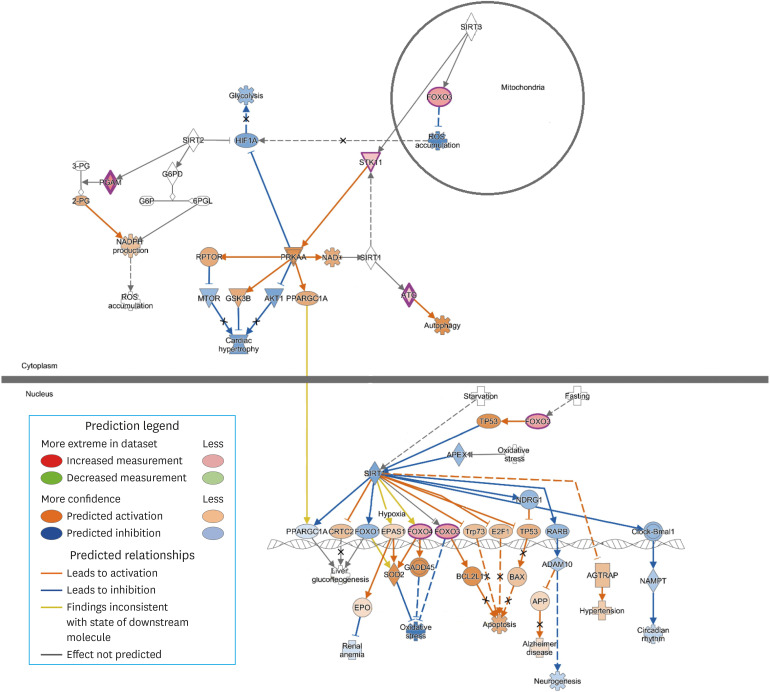 Differences in Leukocyte Transcriptomes of Morbidly Obese Patients With High Output Heart Failure: A Pilot Study.