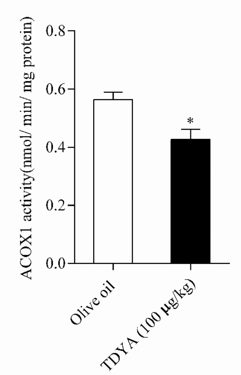 Hepatic Acyl CoA Oxidase1 Inhibition Modifies Brain Lipids and Electrical Properties of Dentate Gyrus.