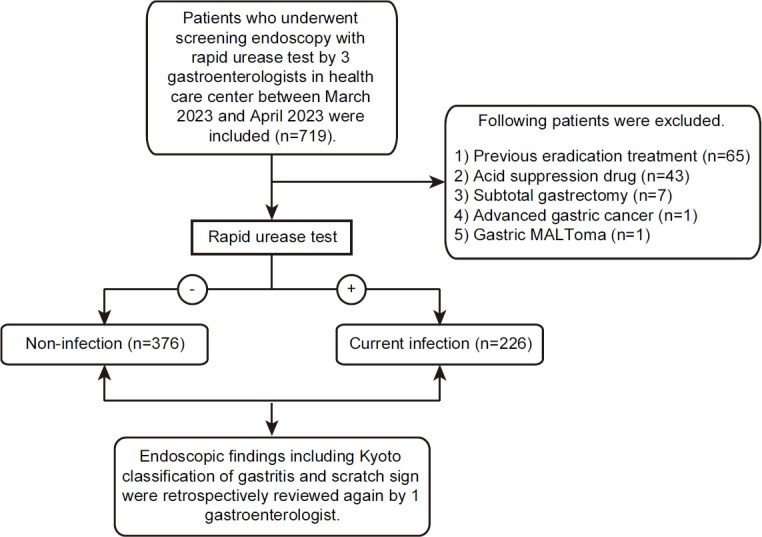 Validation of a Novel Endoscopic Feature that Predicts <i>Helicobacter pylori</i>-negative Status: Does the Scratch Sign Reflect <i>H. pylori</i> Non-infection?