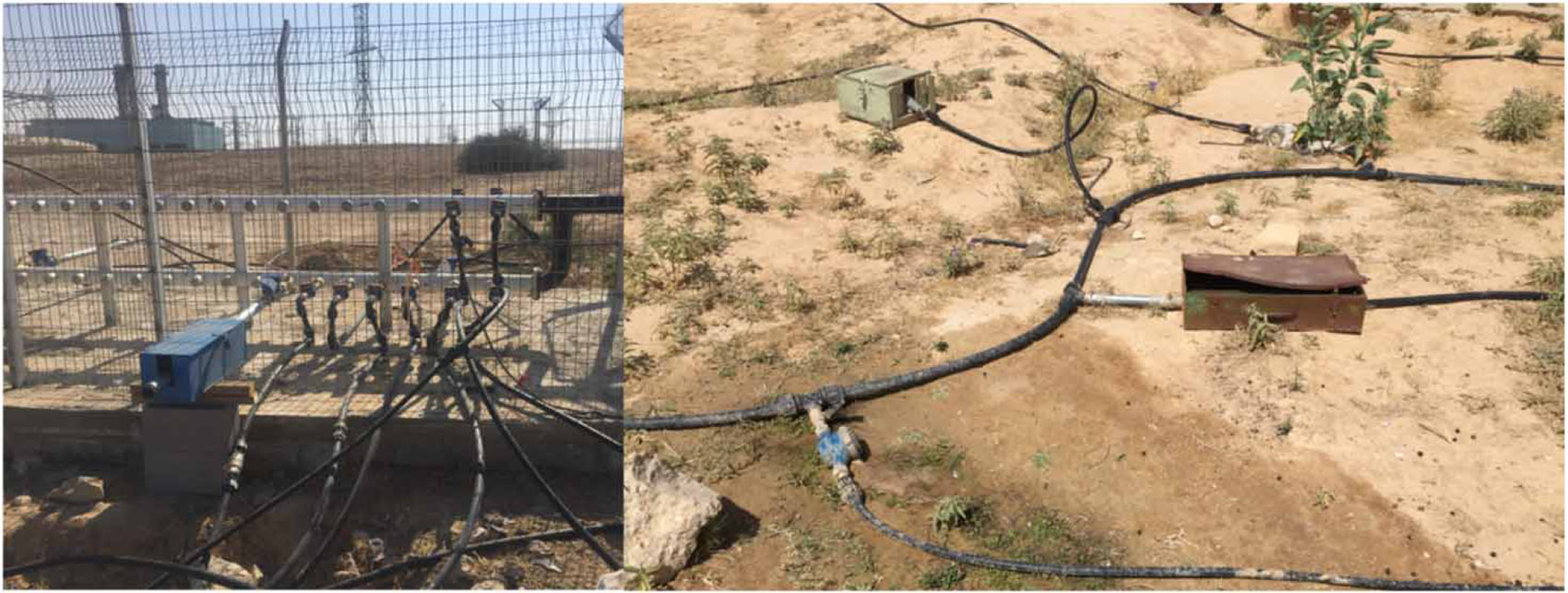 Racial and ethnic disparities in access to safe water and sanitation in high-income countries: a case study among the Arab-Bedouins of Southern Israel.