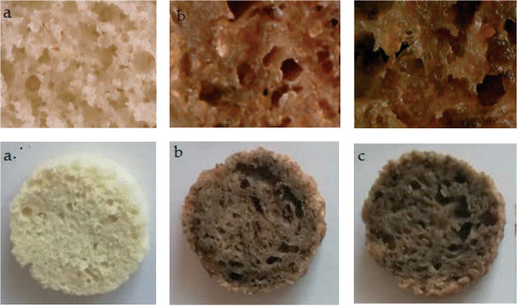 Characterization of Muffins Reformulated with Chia and Lyophilized Peach Powder in Terms of Some Technological and Sensory Aspects.