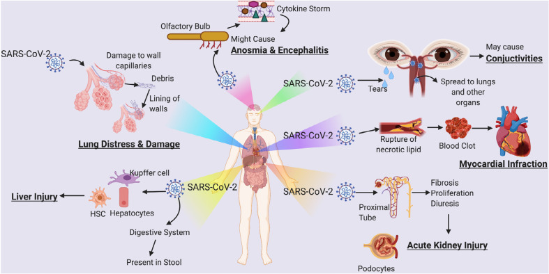Probable Neuropsychological and Cognitive Complications Due to Cytokine Storm in Patients With COVID-19.