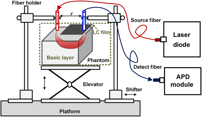 Emulation of Brain Metabolic Activities Based on a Dynamically Controllable Optical Phantom.
