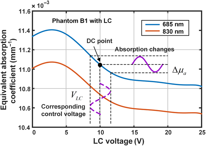 Emulation of Brain Metabolic Activities Based on a Dynamically Controllable Optical Phantom.
