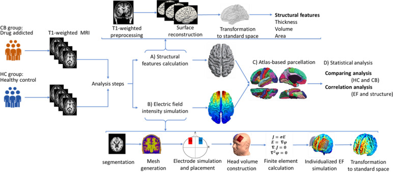 Cortical Morphology in Cannabis Use Disorder: Implications for Transcranial Direct Current Stimulation Treatment.