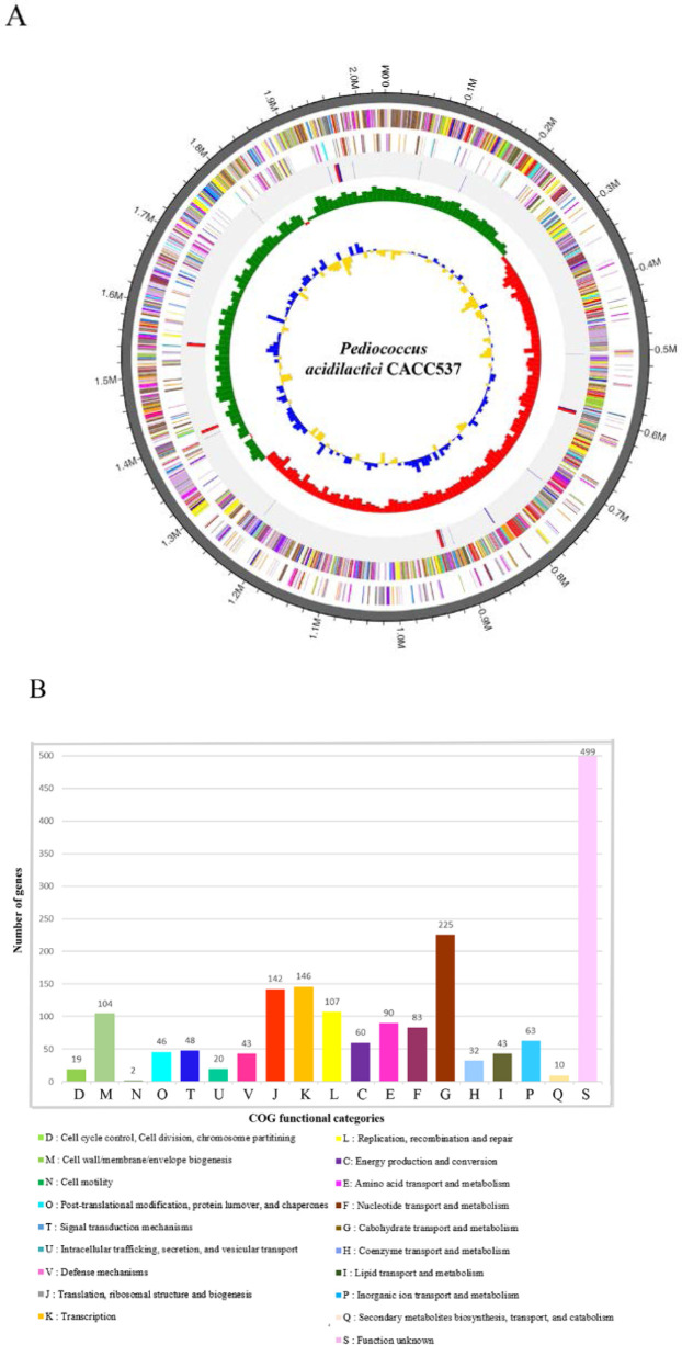 Complete genome sequence of <i>Pediococcus acidilactici</i> CACC 537 isolated from canine.