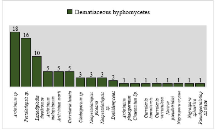 Onychomycosis caused by dematiaceous fungi: A four-year study on agricultural workers of Assam, India.