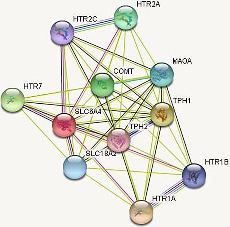 Impact of Serotonin Pathway Gene Polymorphisms and Serotonin Levels in Suicidal Behavior.