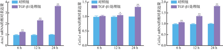 摘要图片