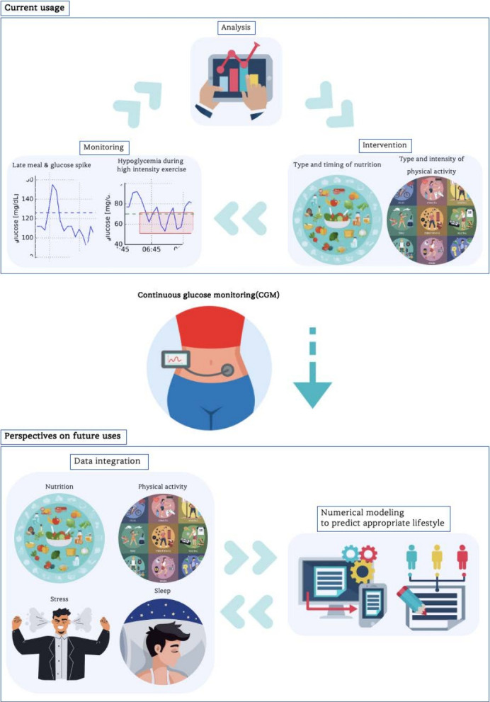 The role of continuous glucose monitoring in physical activity and nutrition management: perspectives on present and possible uses.
