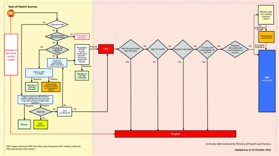 Coronavirus disease and home recovery: a Singapore perspective.