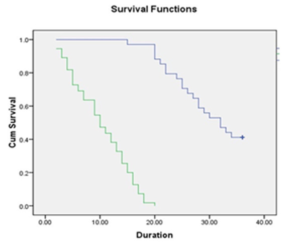 Prognostic Significance and Clinicopathological Correlations of Epigenetic MGMT Gene Silencing in High Grade Diffuse Gliomas.