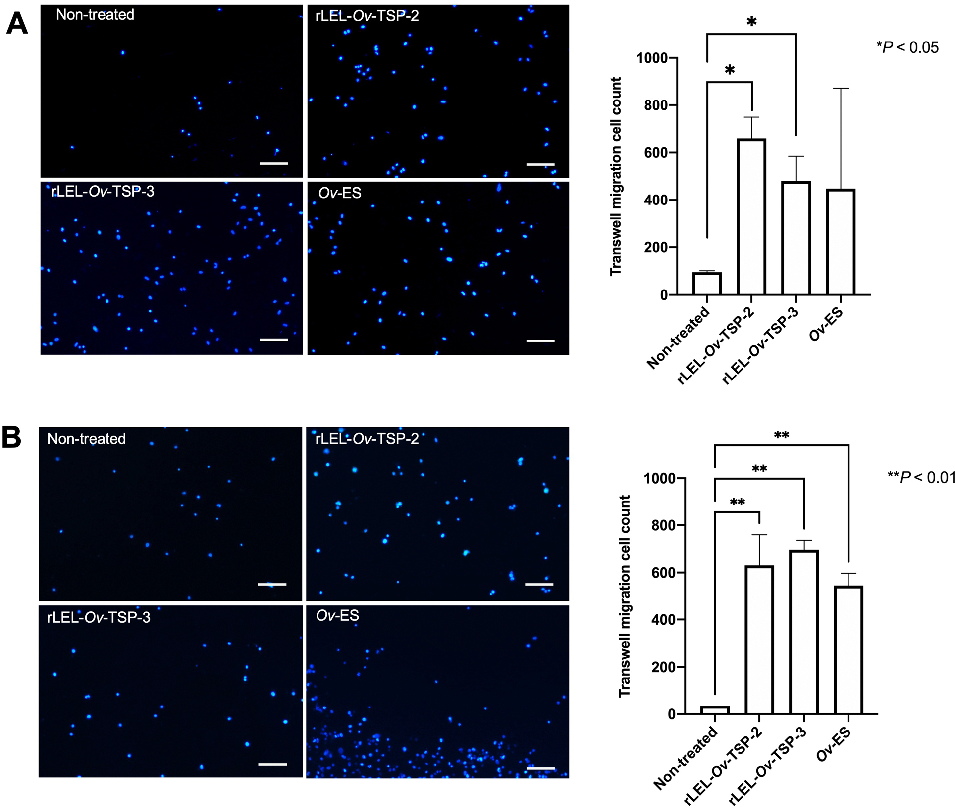 Tetraspanins from the liver fluke Opisthorchis viverrini stimulate cholangiocyte migration and inflammatory cytokine production.