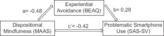 Experiential Avoidance as a Mediator of the Relationship between Dispositional Mindfulness and Problematic Smartphone Use.
