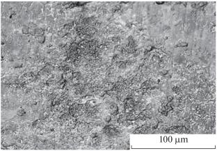 Experimental Investigation of the Effect of Deep Cryogenic Treatment of 100Cr6 Bearing Steel