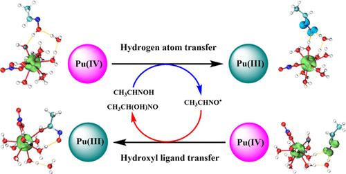 Unveiling the Reduction Mechanism of Pu(IV) by Acetaldoxime