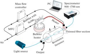 Tin (IV) Oxide Coatings with Different Morphologies on the Surface of a Thinned Quartz Fiber for Sensor Application