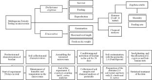 Biochar from Sugarcane Straw Reduces the Toxicity of Soils Contaminated with 2,4-D and Fipronil, Isolated and in a Mixture, on Multispecies Microcosms