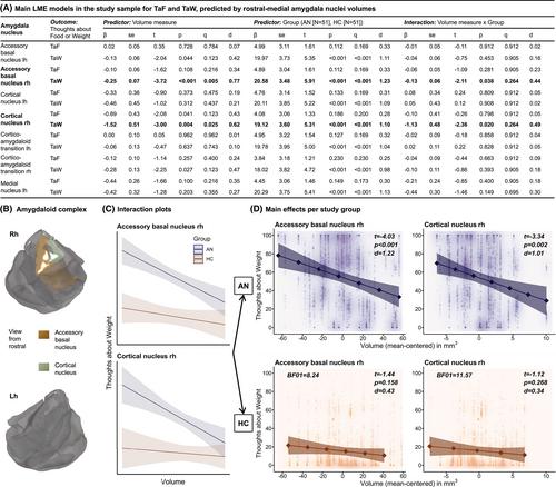 Explicating the role of amygdala substructure alterations in the link between hypoleptinemia and rumination in anorexia nervosa