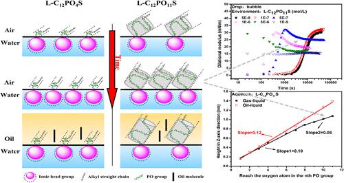 Dilational Rheology of Extended Surfactants at the Air/Water and Oil/Water Interfaces: Effect of Propylene Oxide Group Numbers