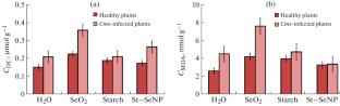 Biosafety Assessment of a Selenium-Containing Nanocomposite Based on a Polysaccharide Matrix of Starch