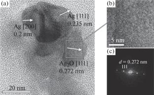 Biosynthesis of Silver Nanoparticles Using the Shewanella oneidensis MR-1 Strain. Technological Approaches to Increasing the Production and Creating of Preparative Forms of Biogenic Nanomaterial