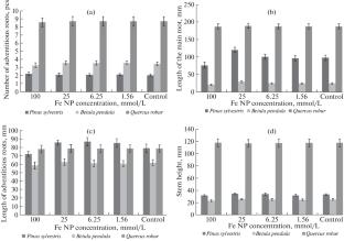 Influence of Iron Nanoparticles on the Growth of Seedlings of Some Tree Species