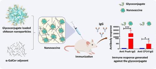 Semisynthetic Pneumococcal Glycoconjugate Nanovaccine