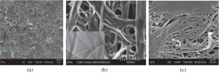 The Influence of the Spatial Organization of Carbon Nanostructures on Antiwear Characteristics of Model Lubricating Systems under a Hard Friction Mode