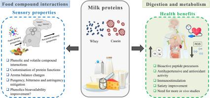 Sensory properties of foods functionalised with milk proteins