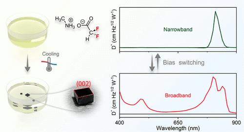 Preferably Oriented Growth of Methylammonium-Based Perovskite Single Crystals with Ionic Liquid Solvent