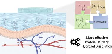 The role of Eudragit® as a component of hydrogel formulations for medical devices†