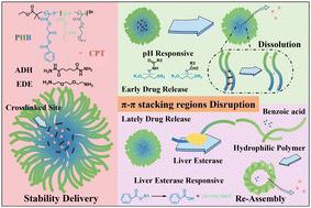 Exploring release mechanisms by disrupting π–π stacking regions in stable micelles†