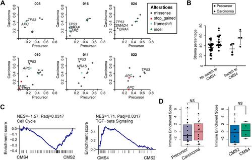 Consensus molecular subtype transition during progression of colorectal cancer