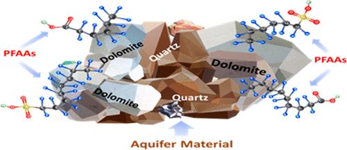 Adsorption of Per- and Polyfluoroalkyl Substances (PFAS) by Aquifer Materials: the Important Role of Dolomite
