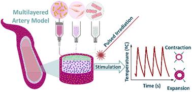 Remodeling arteries: studying the mechanical properties of 3D-bioprinted hybrid photoresponsive materials†