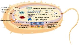 Antibacterial functionalized carbon dots and their application in bacterial infections and inflammation