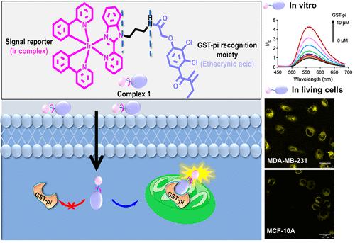 A Switch-On Affinity-Based Iridium(III) Conjugate Probe for Imaging Mitochondrial Glutathione S-Transferase in Breast Cancer Cells