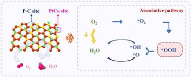 Insights into the synergistic catalytic mechanism on the customized dual sites of an efficient ORR catalyst†